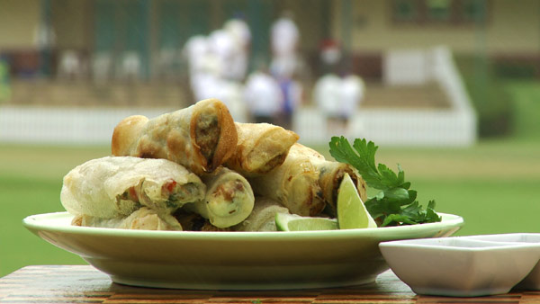 Vegetarian Spring Rolls Recipe – Heat Beads®